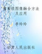 像素级图像融合方法及