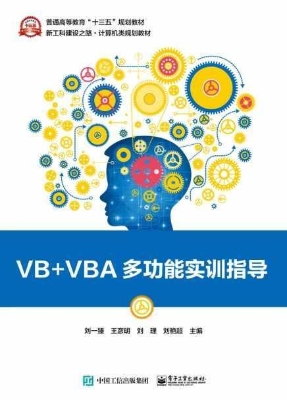 VB+VBA多功能实训指导