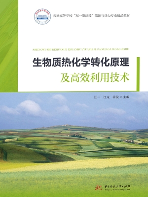 生物质热化学转化原理