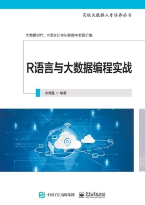 R语言与大数据编程实