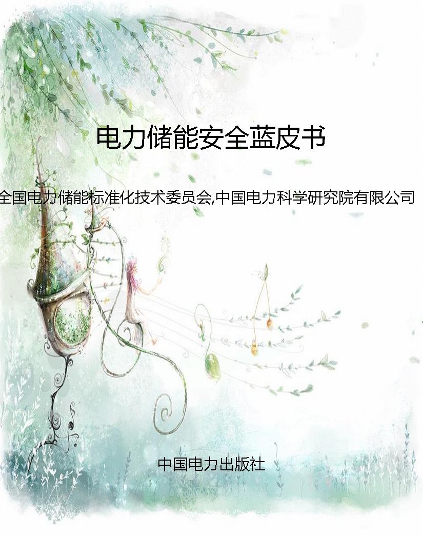 电力储能安全蓝皮书