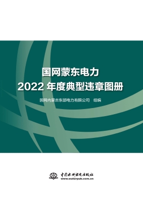 国网蒙东电力2022年度