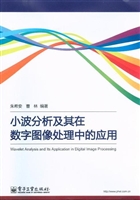 小波分析及其在数字图