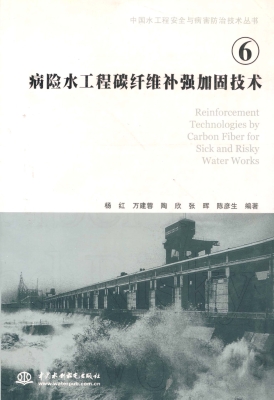 病险水工程碳纤维补强