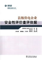 县级供电企业安全性评