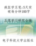 疯狂学五笔：5天突破每