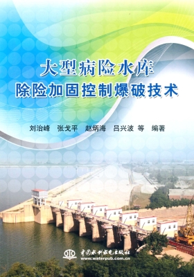 大型病险水库除险加固