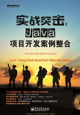 实战突击：Java项目开发