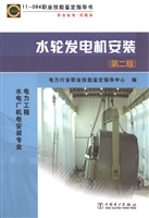 水轮发电机安装