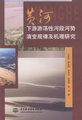 黄河下游游荡性河段河