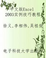 中文版Excel 2003实例