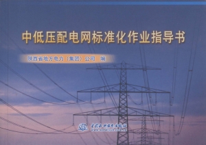 中低压配电网标准化作