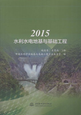 2015水利水电地基与基
