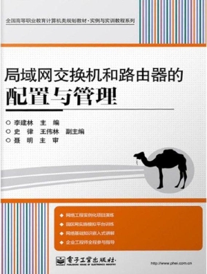 路由器/交换机项目实