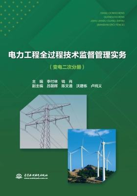 电力工程全过程技术监
