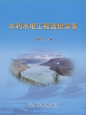 水利水电工程造价实务