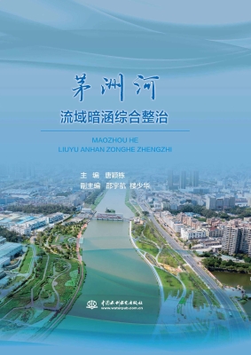 茅洲河流域暗涵综合整