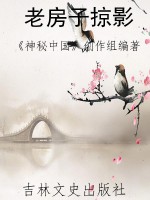 老房子掠影