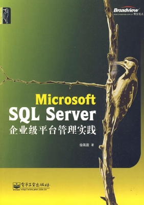 Microsoft SQL Server