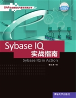 Sybase IQ实战指南