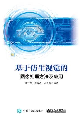 基于仿生视觉的图像处
