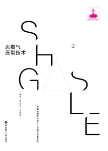 页岩气压裂技术