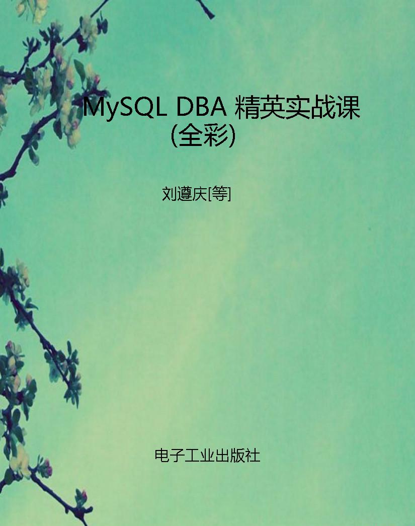 MySQL DBA 精英实战课
