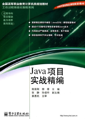 Java项目实战精编