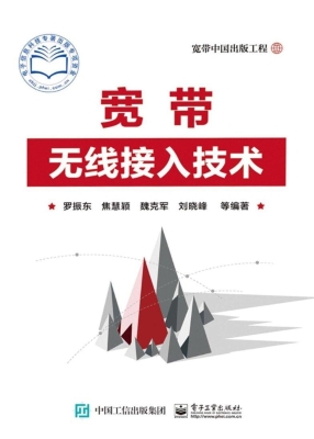 宽带无线接入技术