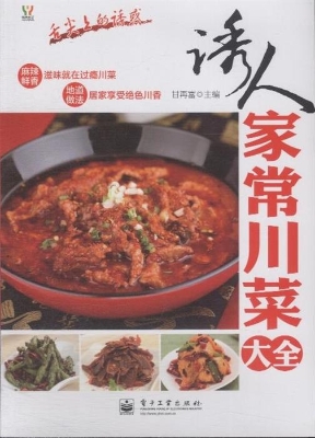 诱人家常川菜大全