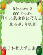 Windows 2000 Profess