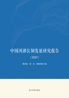 中国河湖长制发展研究