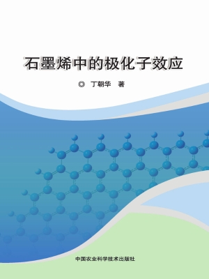 石墨烯中的极化子效应