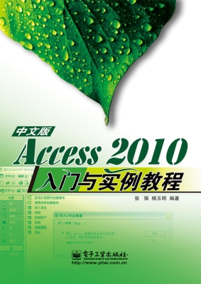 Access 2010中文版入