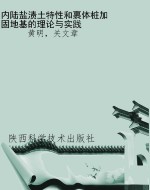 内陆盐渍土特性和裹体