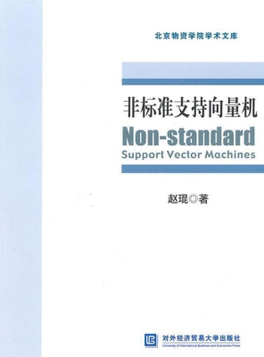非标准支持向量机
