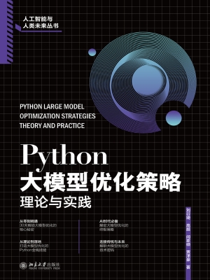 Python大模型优化策略