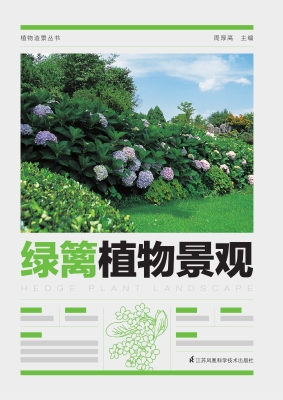 绿篱植物景观