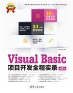 Visual Basic项目开发