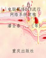 电脑网络DIY流行网络
