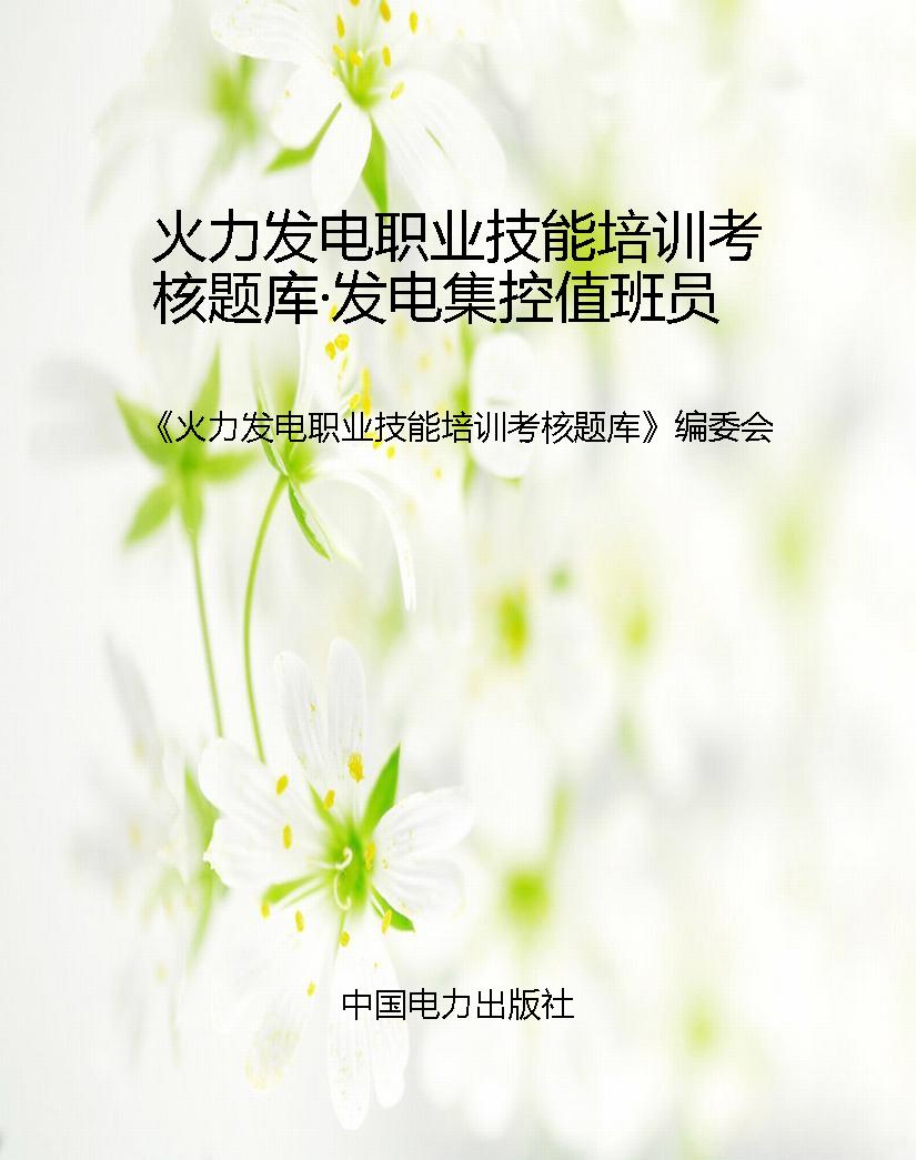 火力发电职业技能培训