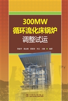 300MW循环流化床锅炉