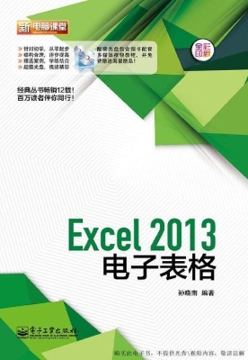 Excel 2013电子表格