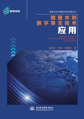 智慧水利数字孪生技术