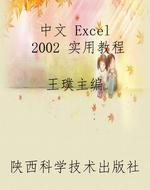 中文 Excel 2002 实用