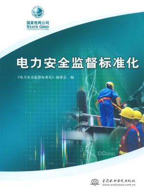 电力安全监督标准化
