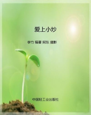 爱上小炒