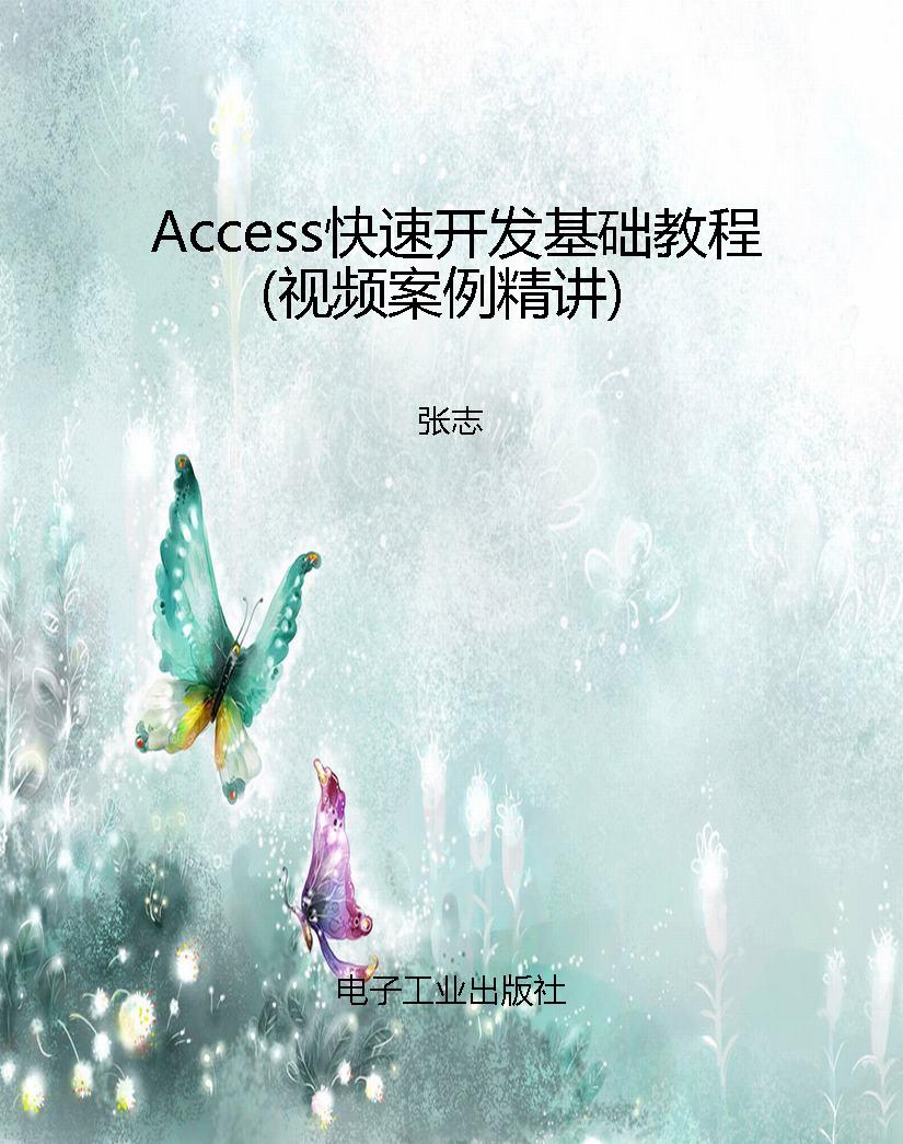 Access快速开发基础教