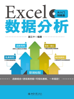 Excel数据分析从入门