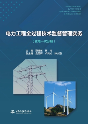 电力工程全过程技术监